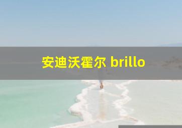 安迪沃霍尔 brillo